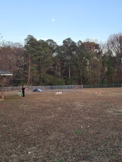 Hartwell Dog Park - Hartwell, GA