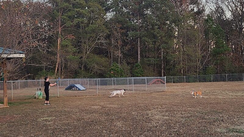 Hartwell Dog Park - Hartwell, GA