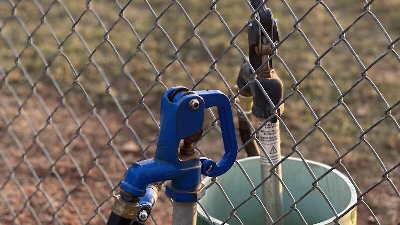 Hartwell Dog Park - Hartwell, GA