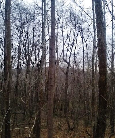 Sands Road Park - Harwood, MD