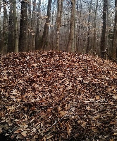 Sands Road Park - Harwood, MD