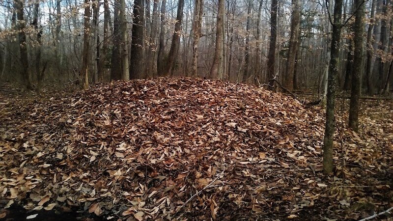 Sands Road Park - Harwood, MD