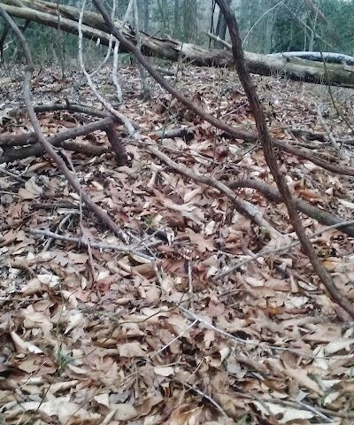 Sands Road Park - Harwood, MD