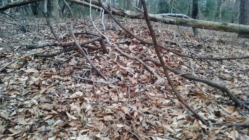 Sands Road Park - Harwood, MD