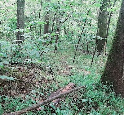 Sands Road Park - Harwood, MD