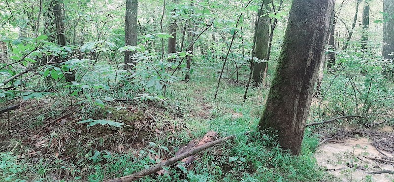 Sands Road Park - Harwood, MD