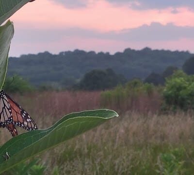Sands Road Park - Harwood, MD