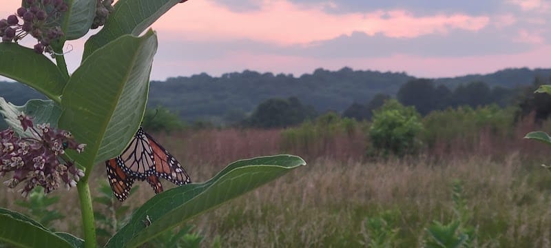 Sands Road Park - Harwood, MD
