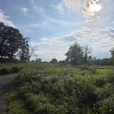 Afton State Park - Hastings, MN