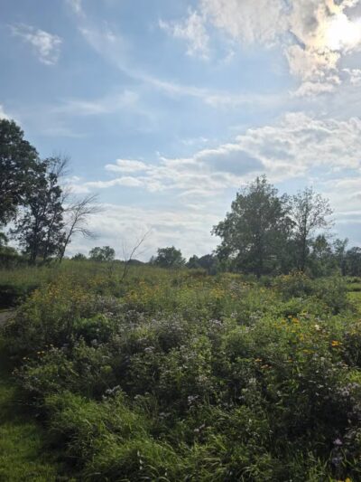 Afton State Park - Hastings, MN