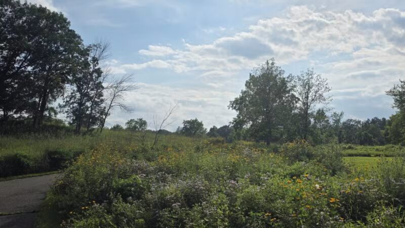 Afton State Park - Hastings, MN
