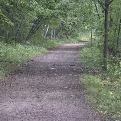Afton State Park - Hastings, MN