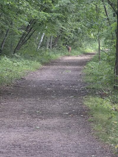 Afton State Park - Hastings, MN