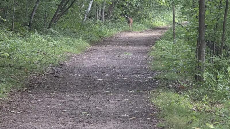 Afton State Park - Hastings, MN