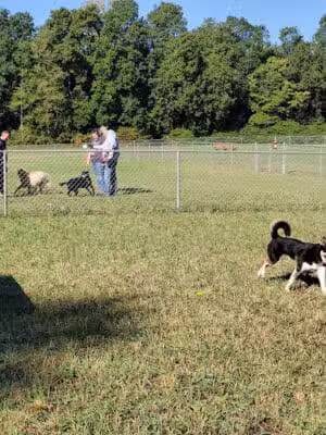 Barry County Veterans Memorial Dog Park - Hastings, MI