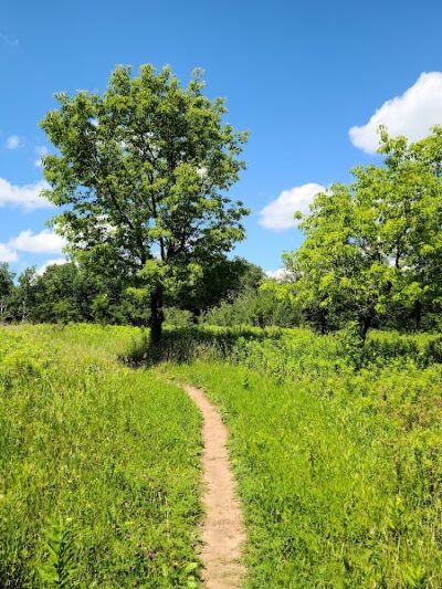 Afton State Park - Hastings, MN