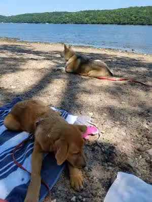 Afton State Park - Hastings, MN