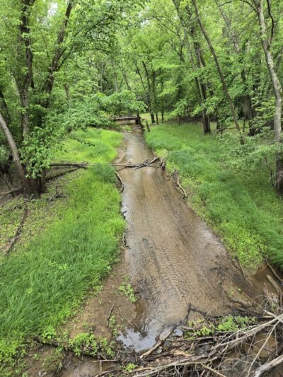 Afton State Park - Hastings, MN
