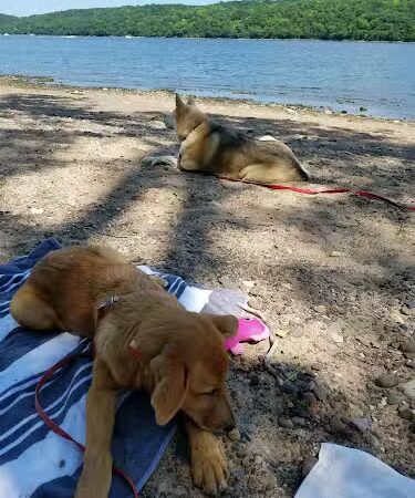 Afton State Park - Hastings, MN