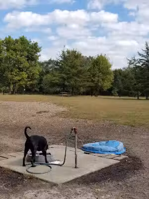 Rivertown Dog Park - Hastings, MN