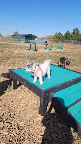 Hastings Dog Park - Hastings, NE