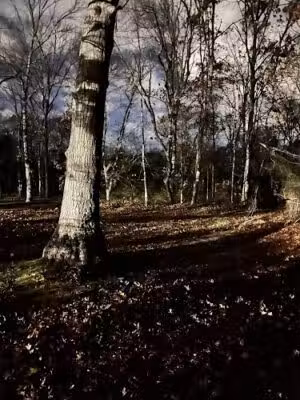 Hidden Pond Park - Hauppauge, NY