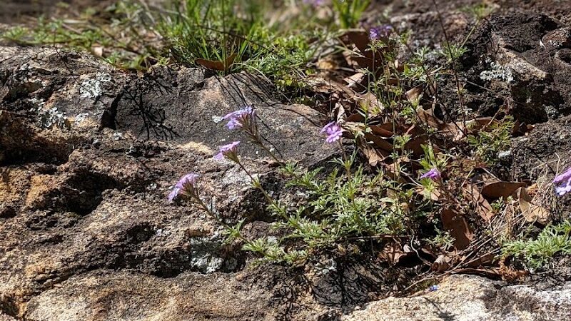 Hawkinsville Park - Hawkinsville, GA