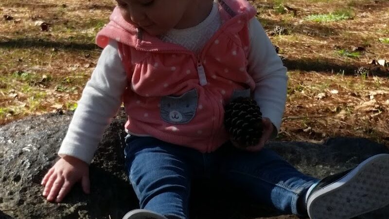 Hawkinsville Park - Hawkinsville, GA