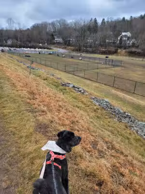 Riverside Dog Park - Hawley, PA