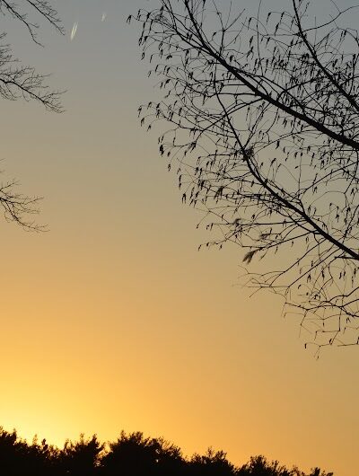 Oradell Reservoir Trail - Haworth, NJ
