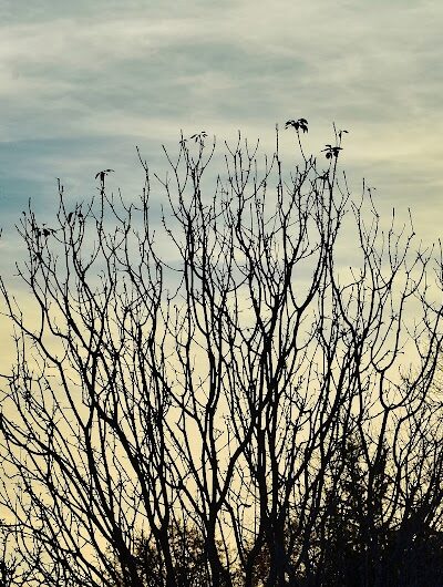 Oradell Reservoir Trail - Haworth, NJ