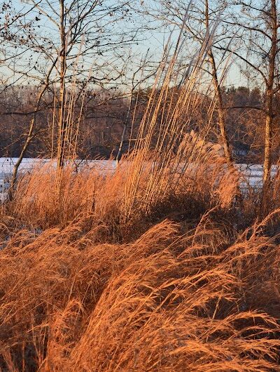 Oradell Reservoir Trail - Haworth, NJ
