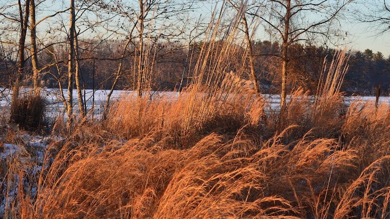 Oradell Reservoir Trail - Haworth, NJ