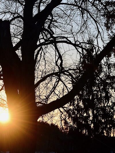 Oradell Reservoir Trail - Haworth, NJ