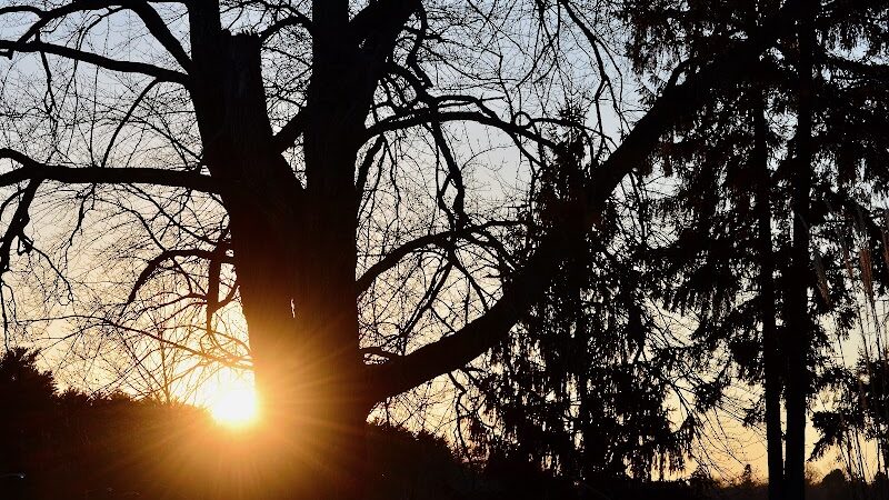 Oradell Reservoir Trail - Haworth, NJ