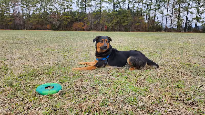 Machicomoco State Park - Hayes, VA