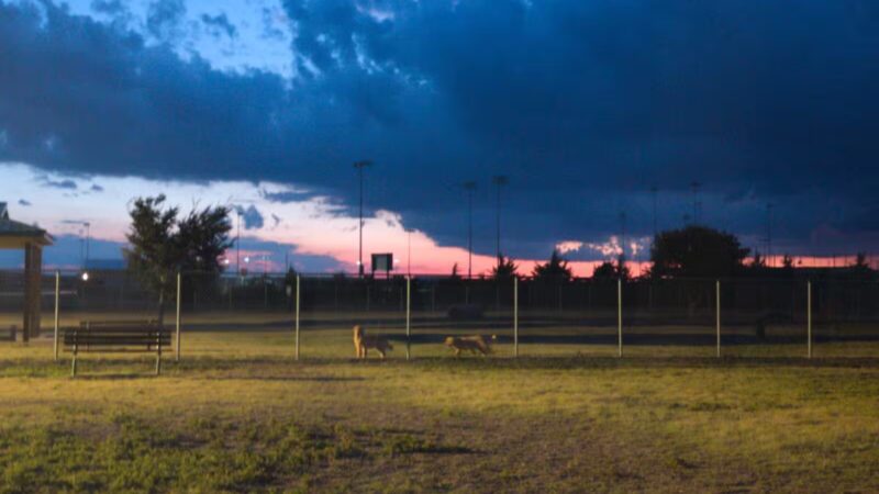 Hays Dog Park - Hays, KS