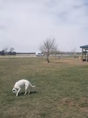 Hays Dog Park - Hays, KS