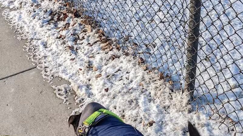 Dog Park - Hazel Park, MI