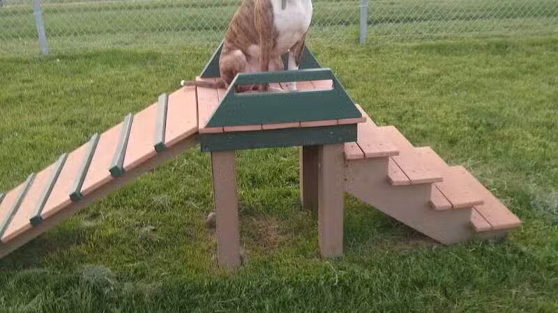 Dog Park - Hazel Park, MI