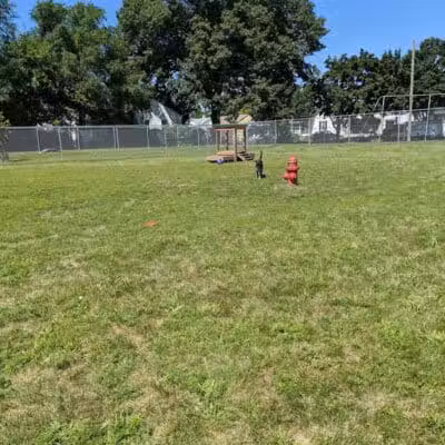 Dog Park - Hazel Park, MI