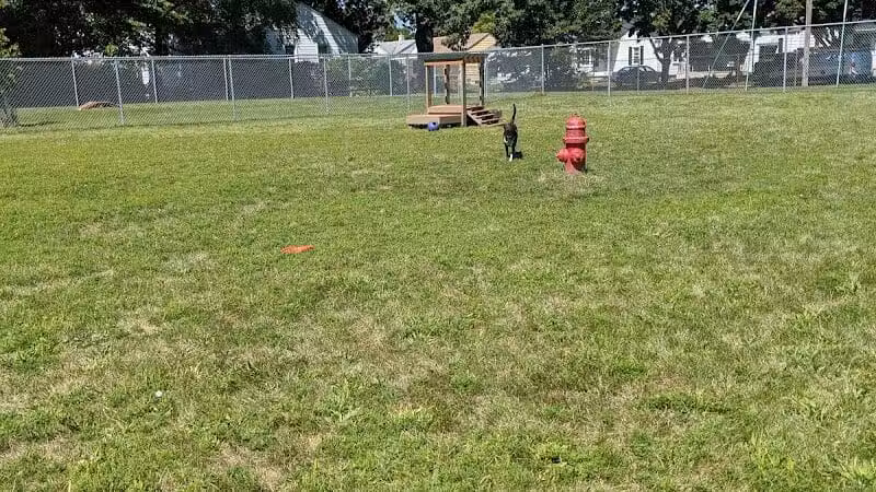 Dog Park - Hazel Park, MI