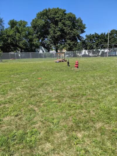 Dog Park - Hazel Park, MI