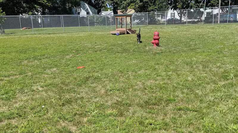 Dog Park - Hazel Park, MI