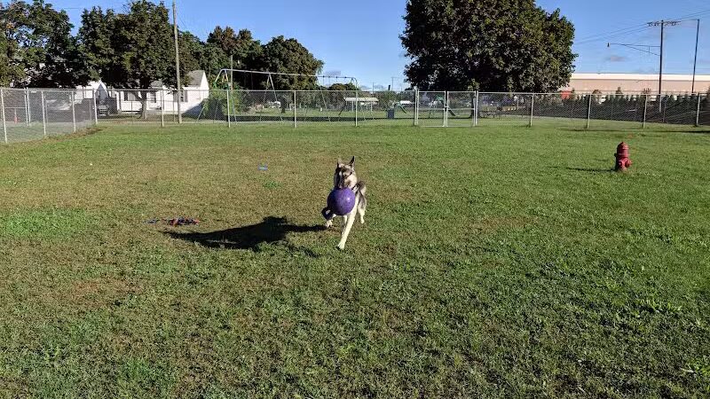 Dog Park - Hazel Park, MI