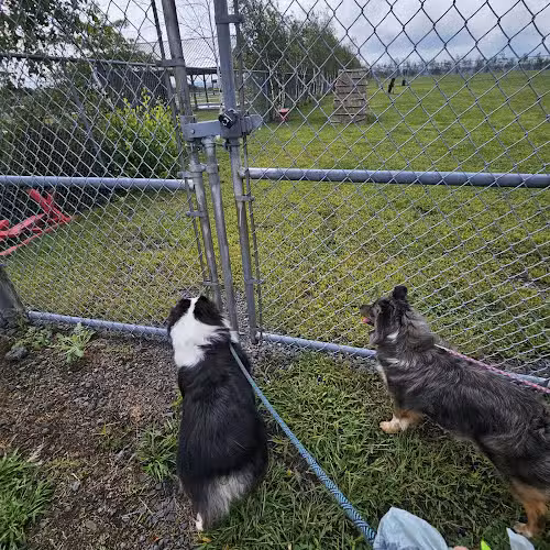 Bailey's Bark Park - Yearly Fee to Use - Hazleton, PA