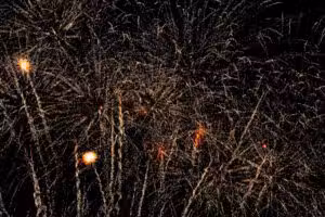 Louis Schiavo City View Park, Baileys Dog Park - Hazleton, PA