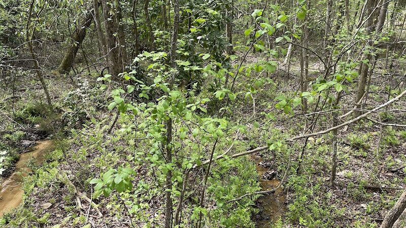 Heath Springs Walking Trail - Heath Springs, SC