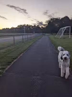 Richland Township Park - Hemlock, MI