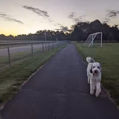 Richland Township Park - Hemlock, MI